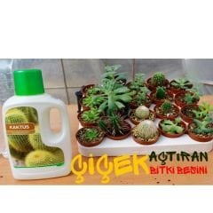 Genta Kaktüs Sıvı Bitki Besini - 500 ml