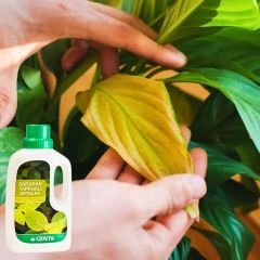 Genta Sararan Yapraklı Bitkiler Sıvı Bitki Besini - 500 ml