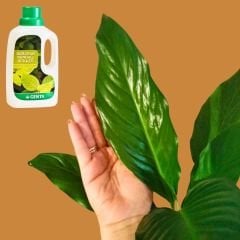 Genta Sararan Yapraklı Bitkiler Sıvı Bitki Besini - 500 ml