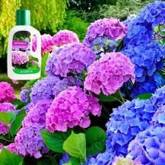 Genta Ortanca Sıvı Bitki Besini - 500 ml