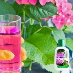 Genta Ortanca Sıvı Bitki Besini - 500 ml