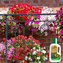 Genta Çiçekli Bitkiler Sıvı Bitki Besini - 500 ml