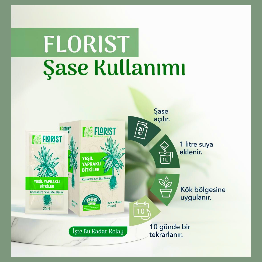 Florist Yeşil Yapraklı Bitkiler Besini (20 ml × 10 Şase)