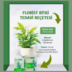 Florist Yeşil Yapraklı Bitkiler Besini (20 ml × 10 Şase)