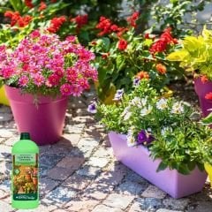 Genta Prestige Çiçekli Bitkiler ve Sardunyalar Sıvı Bitki Besini -  1 lt