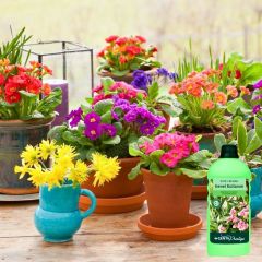 Genta Prestige Genel Kullanım Sıvı Bitki Besini -  500 ml