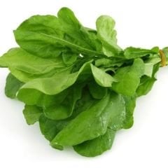 Geleneksel Roka Tohumu - Eruca Vesicaria