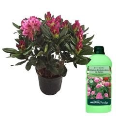 Genta Prestige Ortanca Rododendron ve Açelya Sıvı Bitki Besini -  500 ml