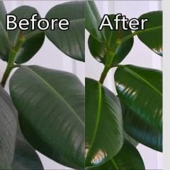 Hobby  Yaprak Parlatıcı Sprey Parfümlü - 750 ml