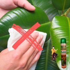 Hobby  Yaprak Parlatıcı Sprey Parfümlü - 750 ml