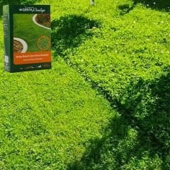 Genta Prestige Kolay Bakım Çim Yonca Karışımı - Easy Care Grass Clover Mix - 1 kg