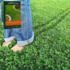 Genta Prestige Kolay Bakım Çim Yonca Karışımı - Easy Care Grass Clover Mix - 1 kg