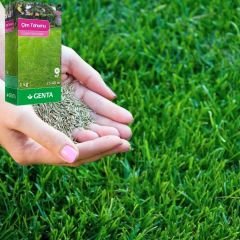 Genta Çim Tohumu Güzel Görünüm - Beautiful Look Lawn - 1 kg
