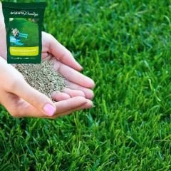Genta Prestige Çim Tohumu Güzel Görünüm - Beautiful Look Lawn - 10 kg