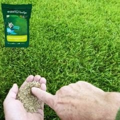 Genta Prestige Çim Tohumu Güzel Görünüm - Beautiful Look Lawn - 10 kg