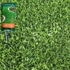 Genta Prestige Kolay Bakım Çim Yonca Karışımı - Easy Care Grass Clover Mix - 5 kg