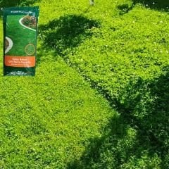 Genta Prestige Kolay Bakım Çim Yonca Karışımı - Easy Care Grass Clover Mix - 5 kg