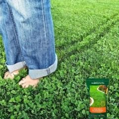 Genta Prestige Kolay Bakım Çim Yonca Karışımı - Easy Care Grass Clover Mix - 10 kg