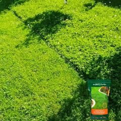 Genta Prestige Kolay Bakım Çim Yonca Karışımı - Easy Care Grass Clover Mix - 10 kg