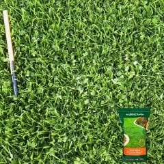 Genta Prestige Kolay Bakım Çim Yonca Karışımı - Easy Care Grass Clover Mix - 10 kg