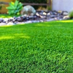 Çim Tohumu Güzel Görünüm - Beautiful Look Lawn - 1 kg