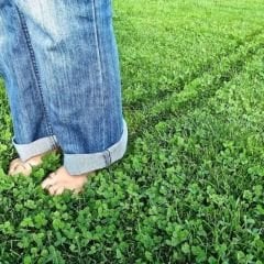 Kolay Bakım Çim Yonca Karışımı - Easy Care Grass Clover Mix - 1 kg