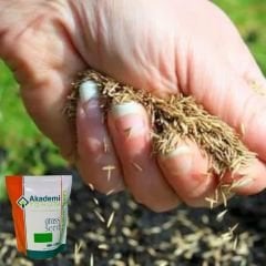 Akademi Tohum 6A Premium Çim Tohumu - 1 kg