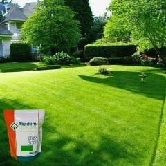 Akademi Tohum 6A Premium Çim Tohumu - 1 kg