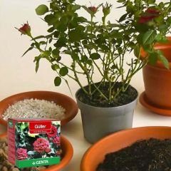 Genta Katı Bitki Besini Güller - 1 kg