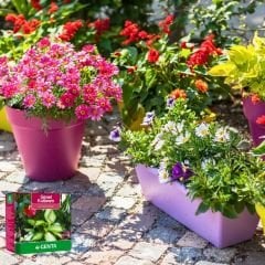 Genta Katı Bitki Besini Genel Kullanım - 1 kg