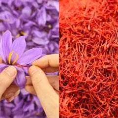 Safran Soğanı 5 Adet - Crocus Sativus