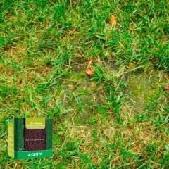 Genta Çim besini - Yosun Önleyici - 1 kg