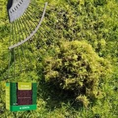 Genta Çim besini - Yosun Önleyici - 1 kg