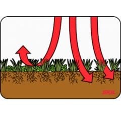 Genta Çim besini - Yosun Önleyici - 1 kg