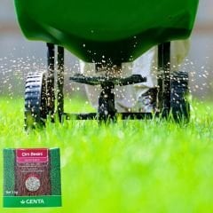 Genta Çim Besini Genel Bakım - 1 kg