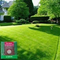 Genta Çim Besini Genel Bakım - 1 kg