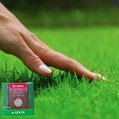 Genta Çim Besini Genel Bakım - 1 kg