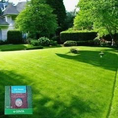 Genta Çim Besini Kış Bakımı - 1 kg
