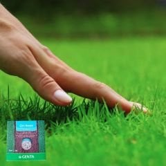 Genta Çim Besini Kış Bakımı - 1 kg