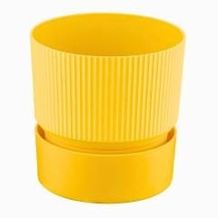 Poliwork ıxora 19 Dijon - 4 lt