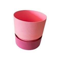 Poliwork ıxora 19 Sakura - 4 lt