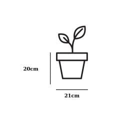 Poliwork Luna 21 Forest - 5 lt