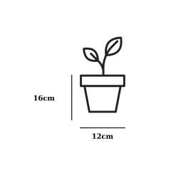 Poliwork Lantana 12 Forest- 1,2 lt