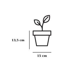 Poliwork Defne 15 Sakura - 1,9 lt