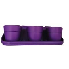 Poliwork Manolya 13 Triple Duvar Mor - 3,30 lt