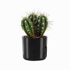 Poliwork Mimoza 14 Siyah - 1,5 lt