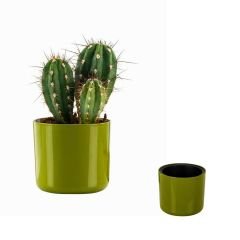 Poliwork Mimoza 14 Yosun Yeşili - 1,5 lt