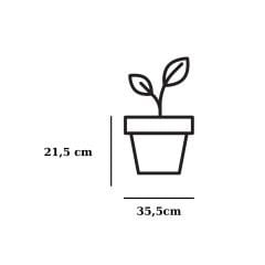 Poliwork Gardenya 35 Sütlü Kahve- 21 lt - Saksı Kılıfı