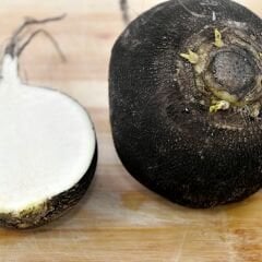 Siyah Turp Tohumu – Raphanus Sativus I. Var. Niger