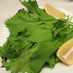 ﻿Geleneksel Tere Tohumu – Lepidium Sativum